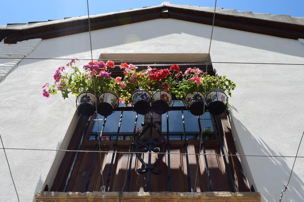 Carmen De Ramilla, Encantadora Guesthouse Con Piscina Soleada Granada Exterior photo